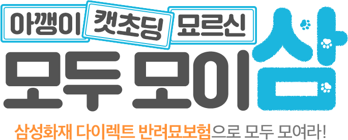 아깽이, 캣초딩, 묘르신 모두 모이삼 삼성화재 다이렉트 반려묘보험으로 모두 모여라!