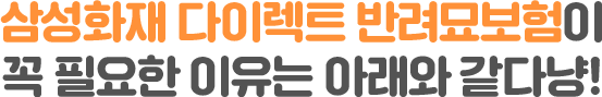 삼성화재 다이렉트 반려묘보험이 꼭 필요한 이유는 아래와 같다냥!