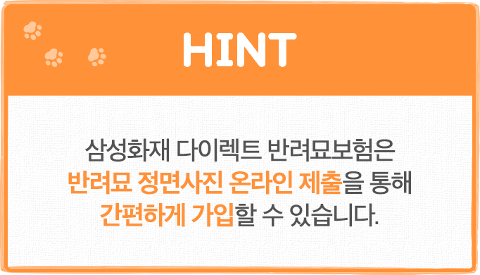 HINT 삼성화재 다이렉트 반려묘보험은 반려묘 정면사진 온라인 제출을 통해 간편하게 가입할 수 있습니다.
